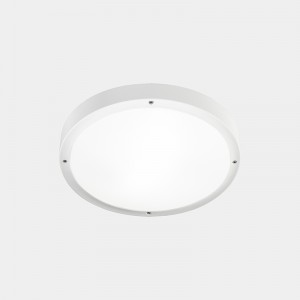 BASIC outdoor ceiling lamp...