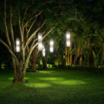 Consejos e ideas para la iluminación de árboles de jardín
